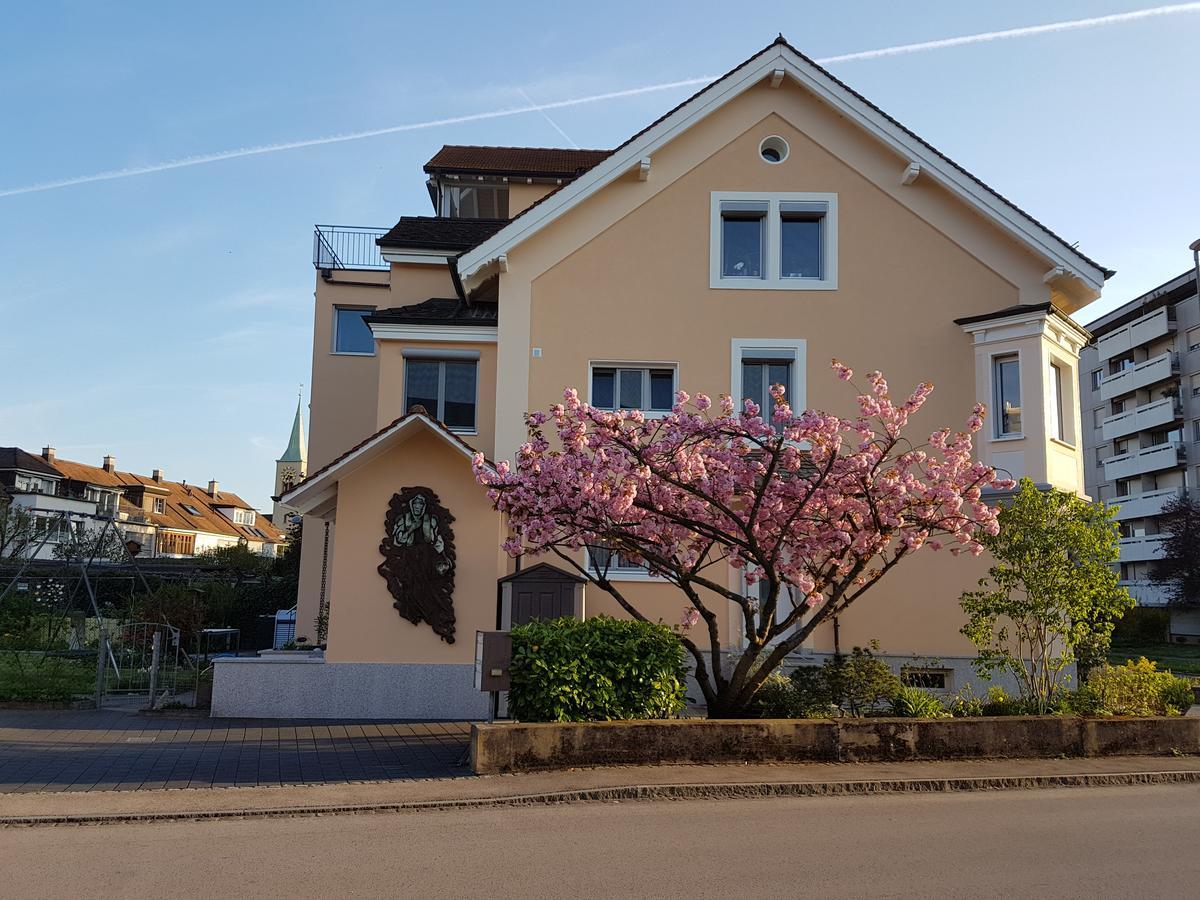 Niros Bed & Breakfast Birsfelden Exterior photo